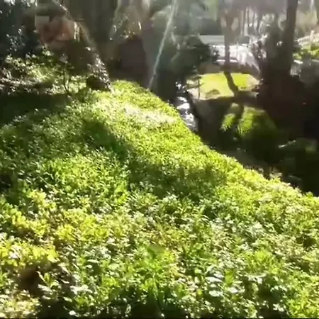 Nuevo Apto Hasta 6 Personas Muy Cerca De Playa Levante Con Jardines Y Gran Piscina , Pista De Tennis Y Futbol Deportes Y Zona Infantil ,en Urbanizacion Con Parking Lejlighed *